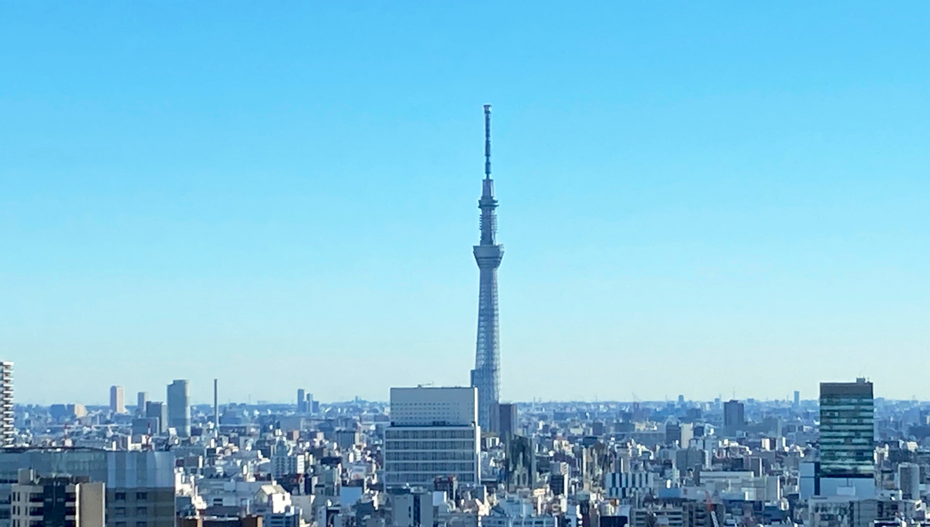 新日本産業株式会社
